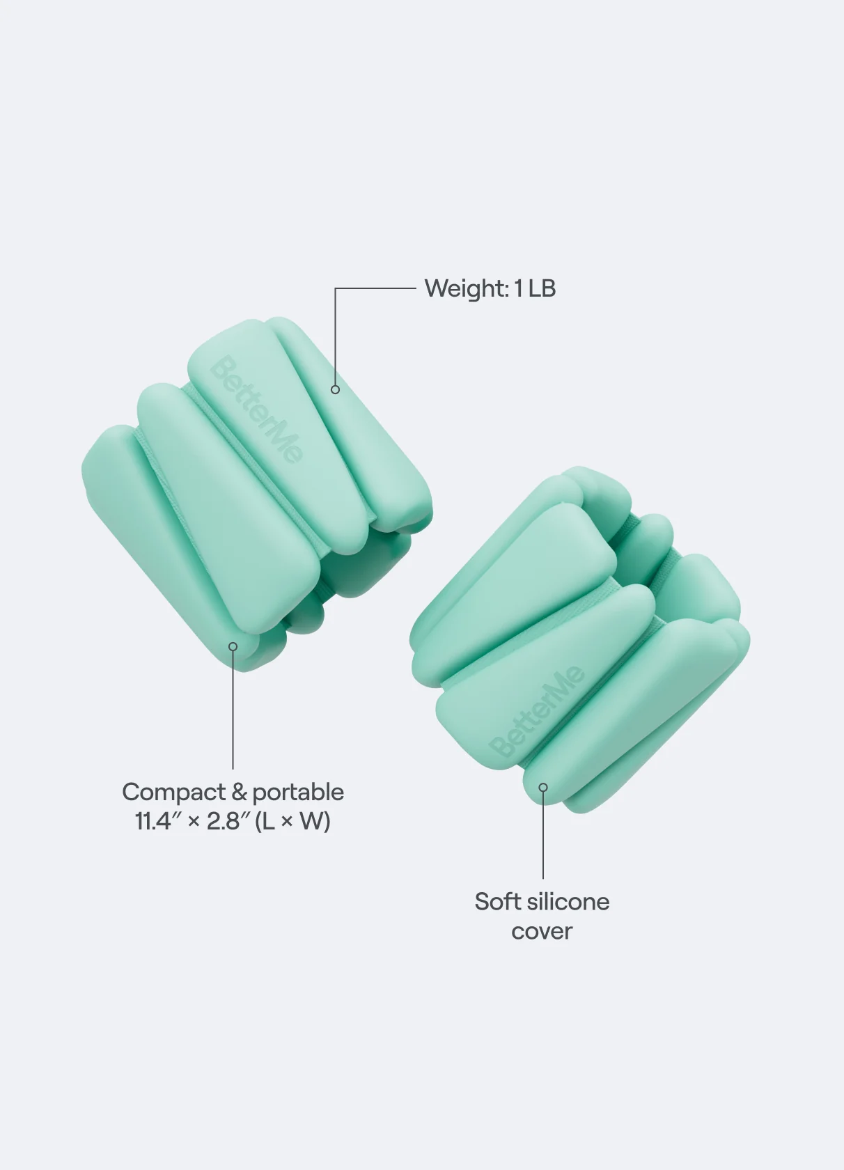 Adjustable Weight Bands - Image 2