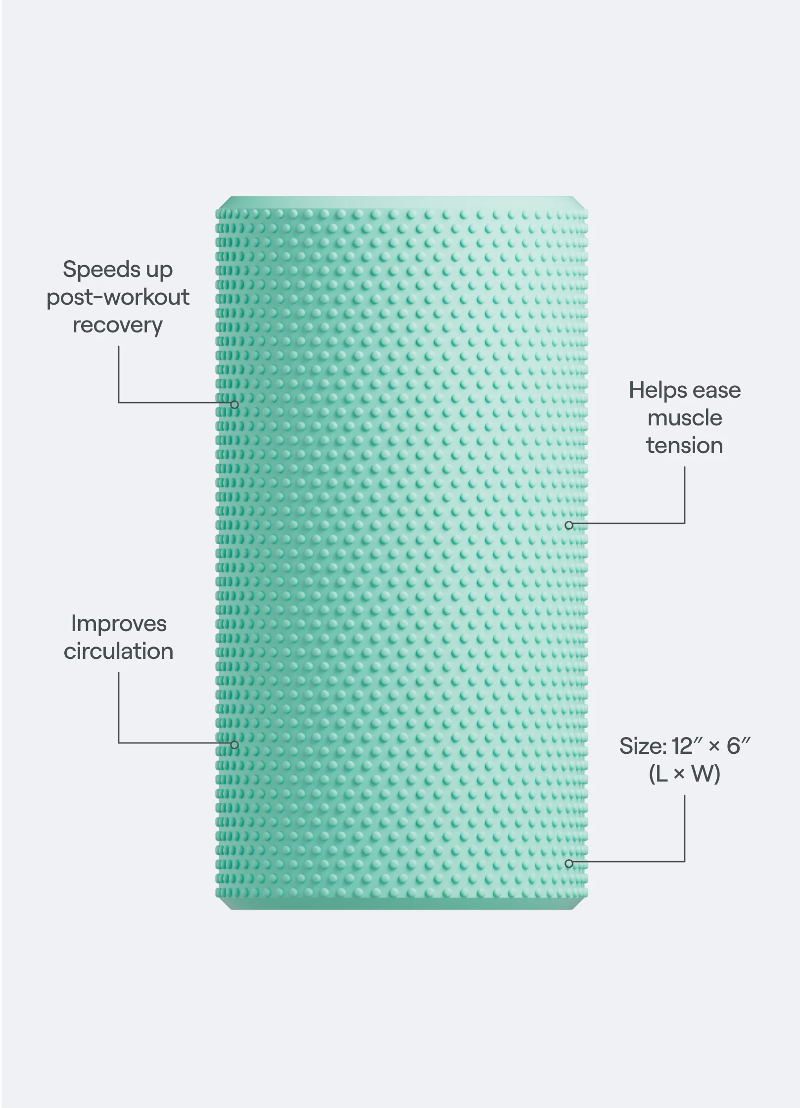 Recovery Foam Roller - Image 2